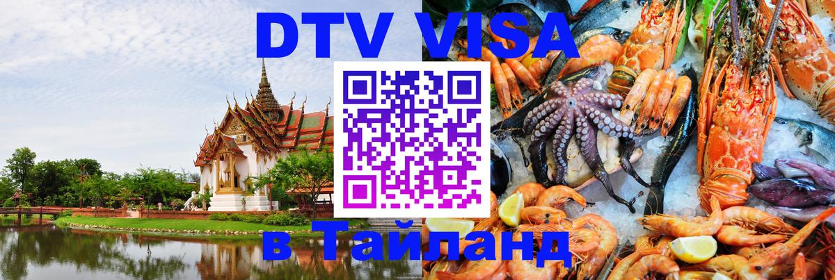 Сколько стоит DTV виза — актуальные цены, оформление даже без документов - 